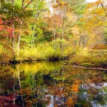 Massachusetts Pond - Fall '09
