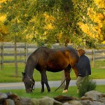 RI stables Fall '09